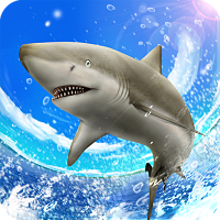 Tải Game Wild Shark Fishing Hack Full Tiền Cho Android Wild Shark Fishing Hack