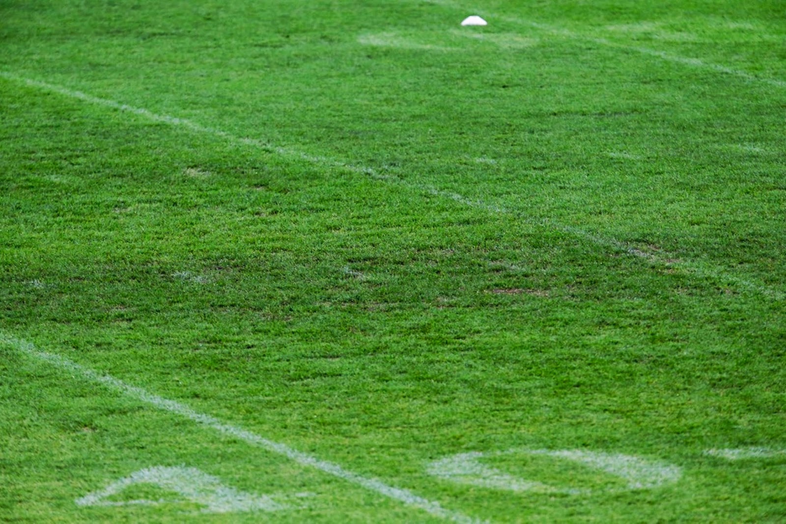 The Wembley Turf FOOTY FAIR