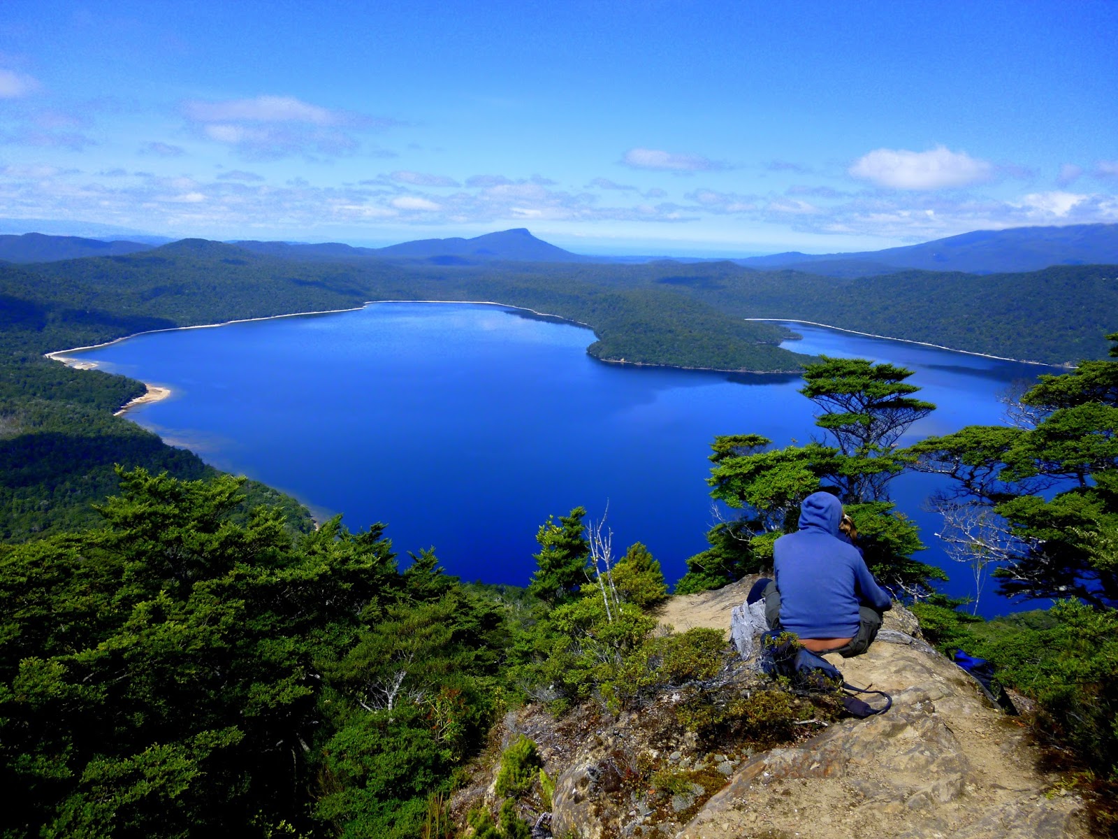 Emerging From The Undergrowth Tuatapere ,Lake Hauroko,South Coast Track