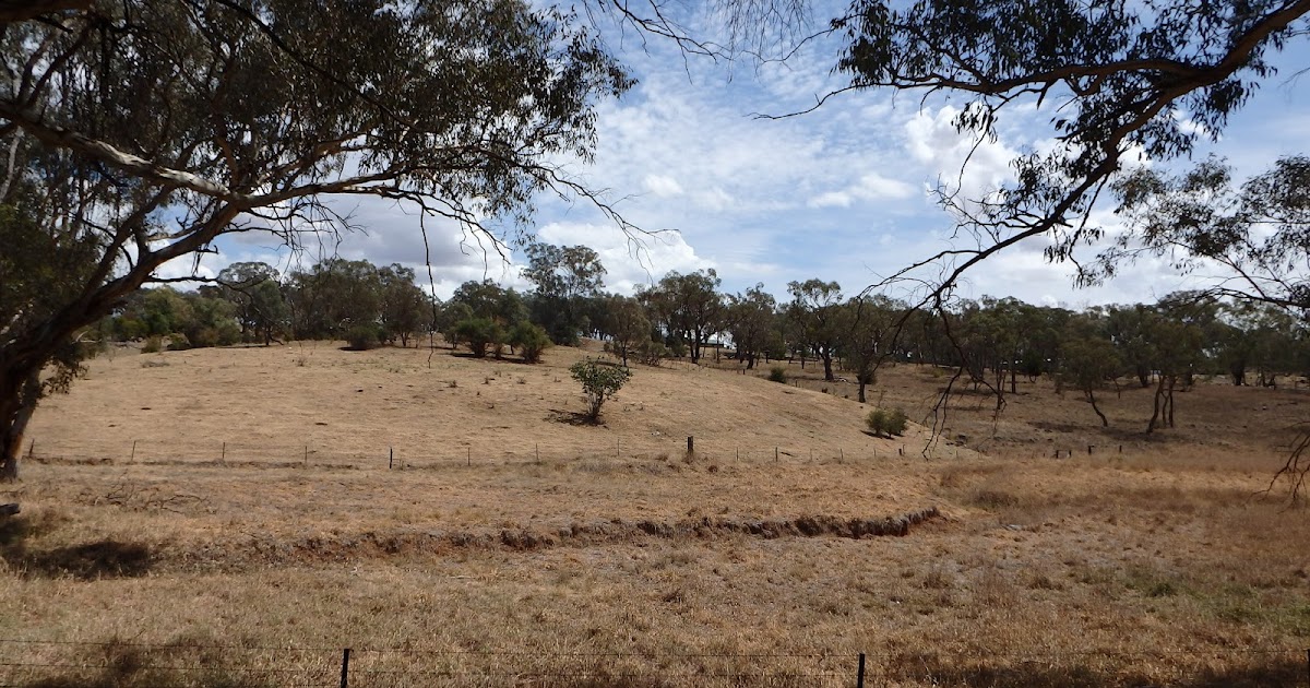 BONE ROOMS: Journey through Prehistoric NSW. Part one