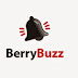 BerryBuzz (OFFLINE INSTALLER)