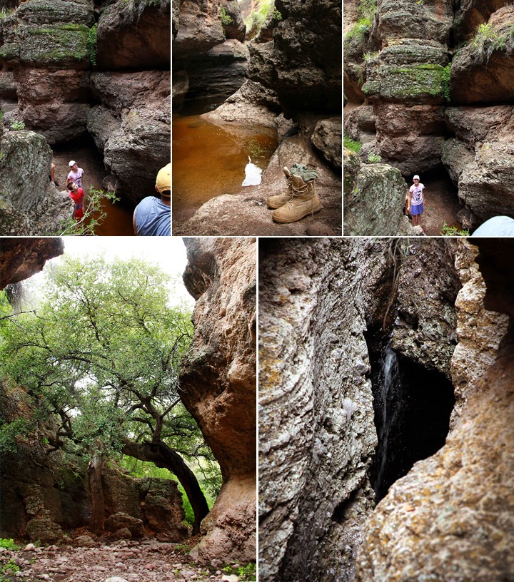 The Spaghetti Blog Pena Blanca Canyon Trail