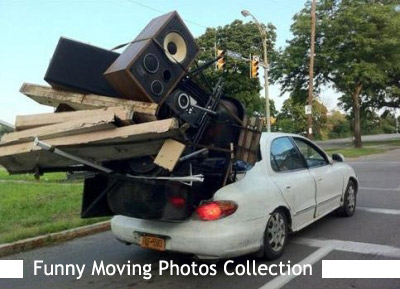 Funny Moving Pictures 100
