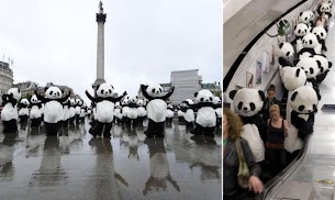 Panda Menari Tai Chi di London - Responsive Blogger Template