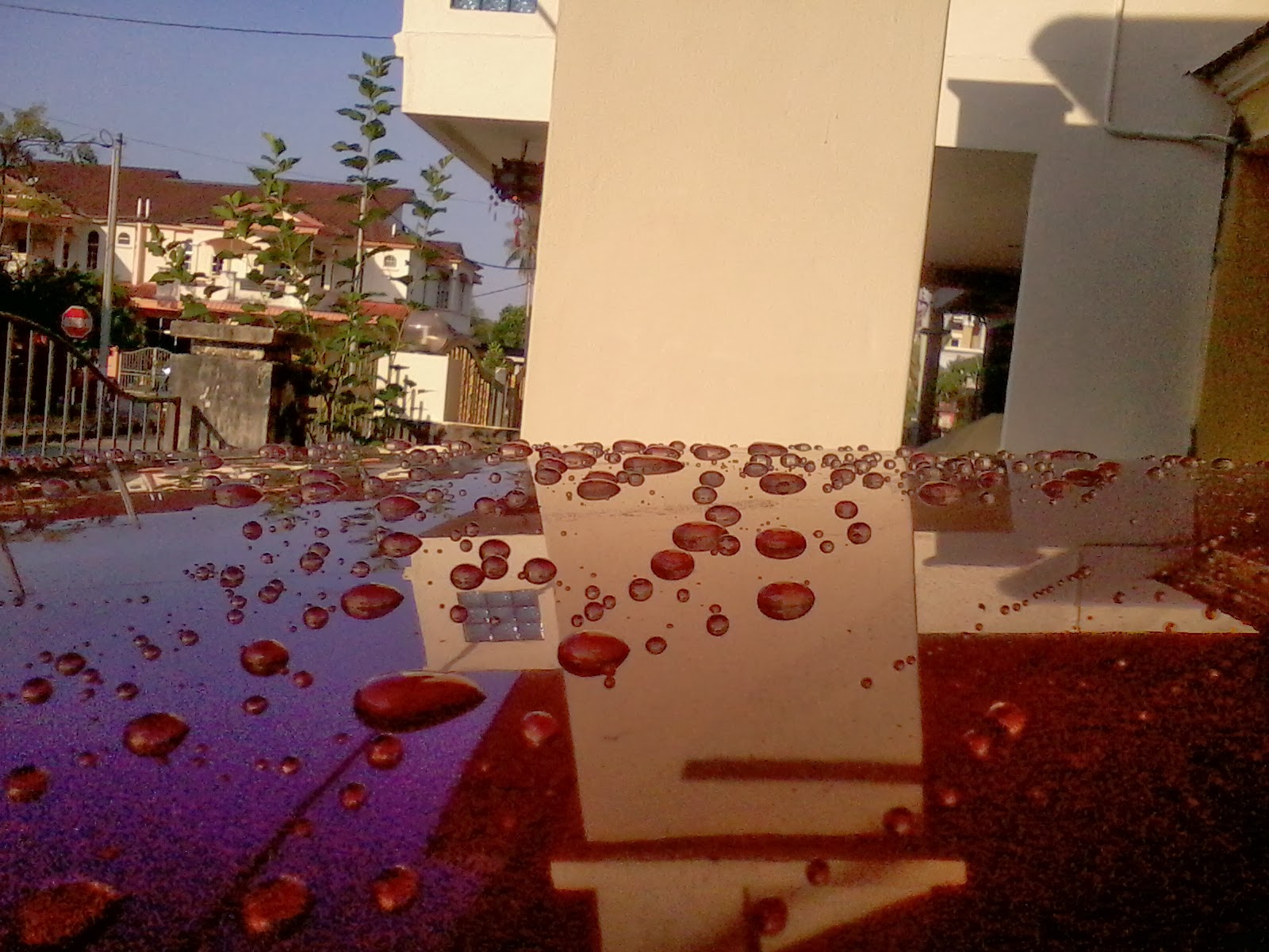 KALEX CAR DETAILING A review of car wax over sealant