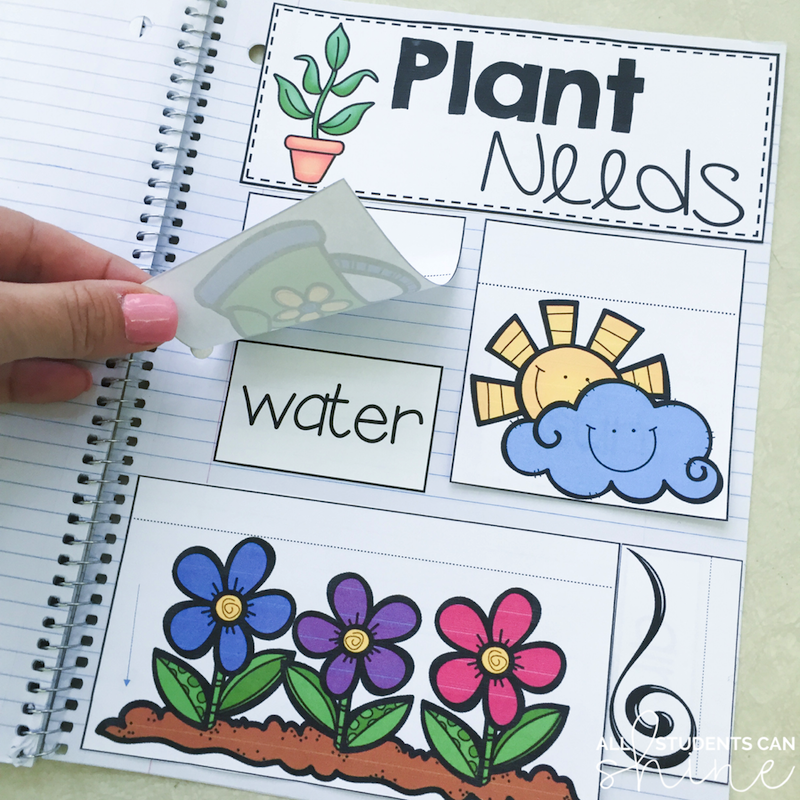 plant needs interactive notebook plants interactive notebook freebie