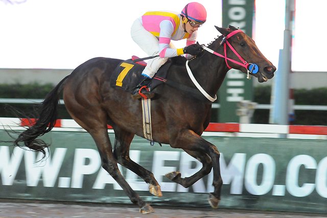Adora Nistel corre hoy el Clásico Ricardo Sauze en Palermo Adora Nistel Van Nistelrooy Palermo