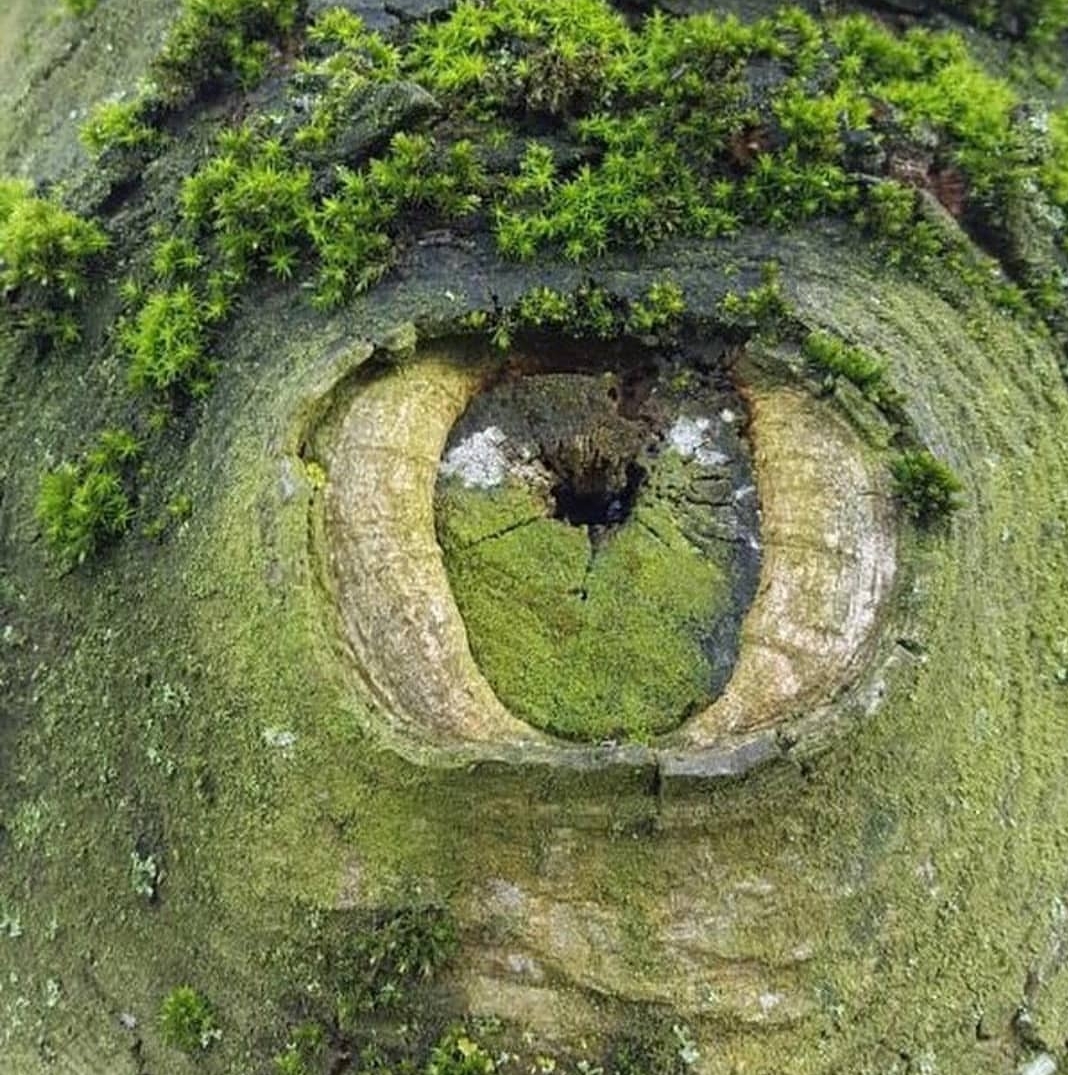 Уникальные творения природы. Таинственные места. Чудеса природы. Мистические чудеса природы. Глаз природы.