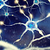 A Gentle Introduction to Deep Learning Using Keras