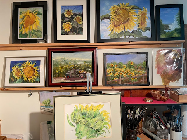 Sunflowers of Sanborn, art by Kath Schifano, yellow pictures, studio display
