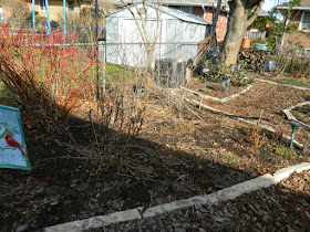 Toronto Etobicoke spring garden cleanup before Paul Jung Gardening Services