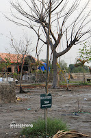 pantai tanjung pasir tangerang