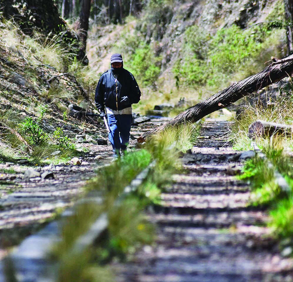 La Paz Bolivia La Paz del Bicentenario Bosquecillo de Pura Pura, el