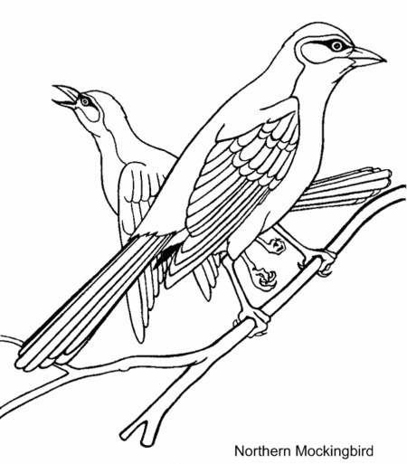 P Is For Parrot Coloring Page Bird Coloring Pages for Kids gtgt Disney Coloring Pages
