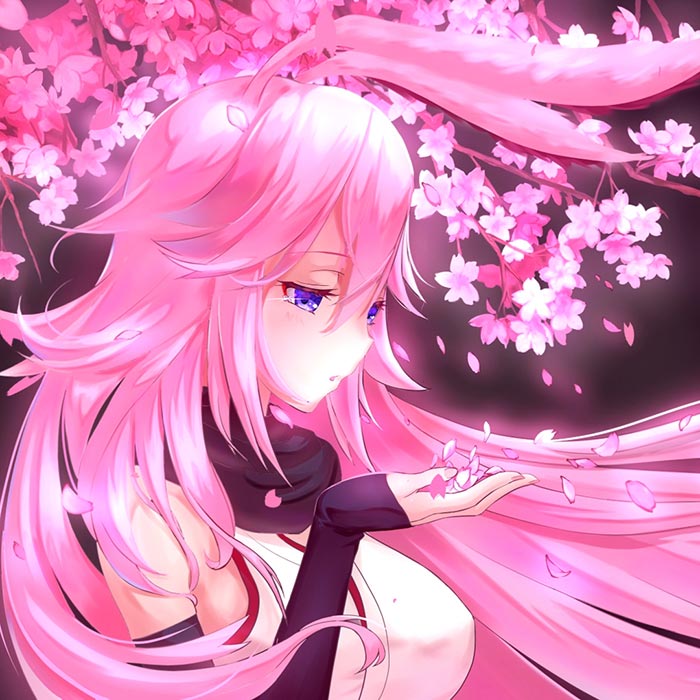 Sakura Wallpaper Engine | Download Wallpaper Engine Wallpapers FREE