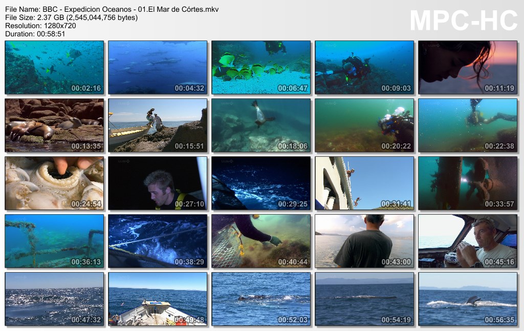 14GB|BBC|Expedicion Oceanos|HDRip|Dual Audio|MEGA|Taykun