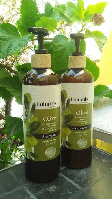 Serene Olive Shampoo And Conditioner Abstract in 4K