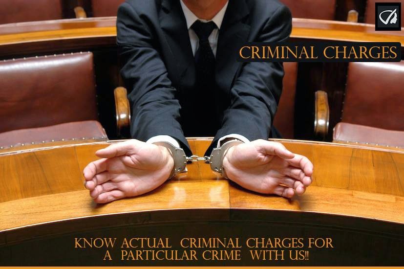 Instant Profiler: Criminal Charges - Know Actual Criminal Charges For A