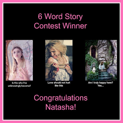 6 Word Story Contest Winner