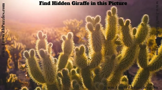 Hidden Animal Picture Puzzle: Hidden Faces Picture Puzzles
