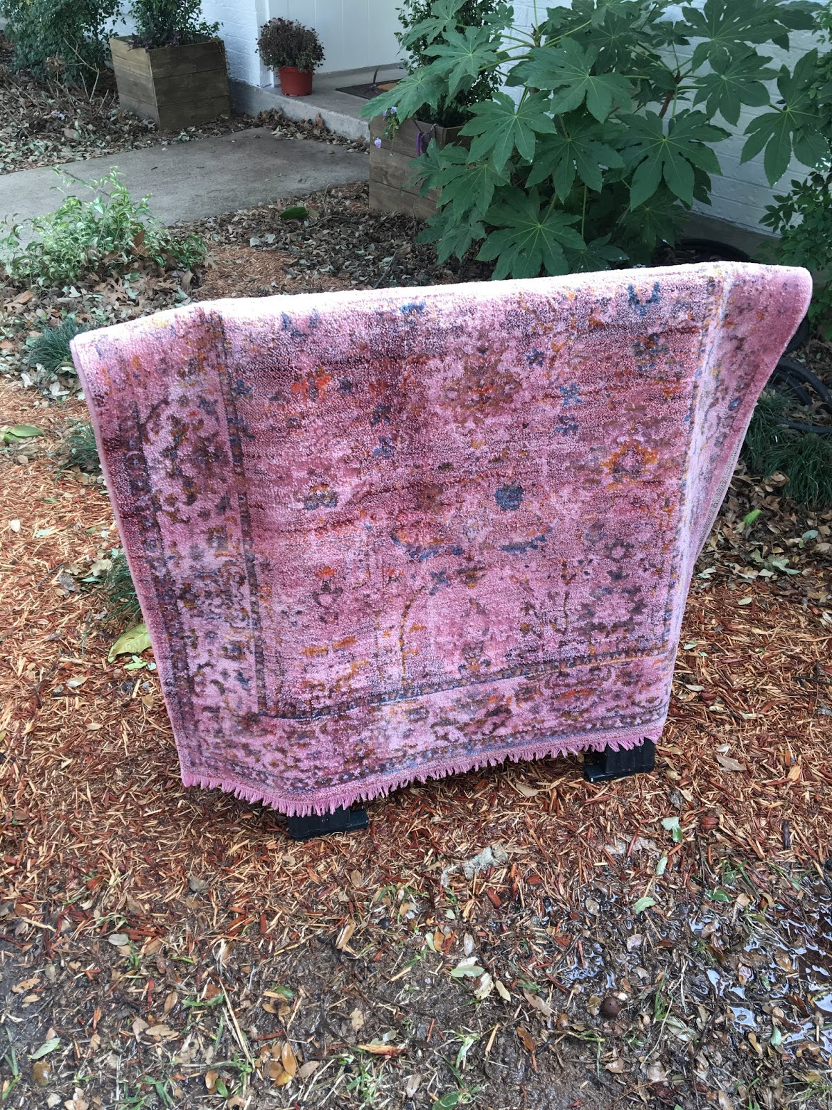 House Homemade How to Dye an Area Rug