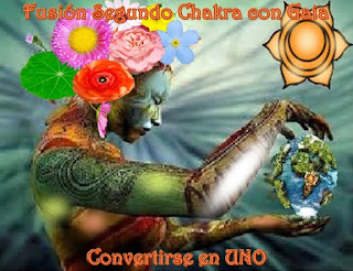 Yo soy Gaia, hoy vuelvo para guiarlos en la fusión de su segundo Chakra personal con el mío en el planeta, con el fin de ‘convertirnos en Uno’ entre su humanidad y Yo.