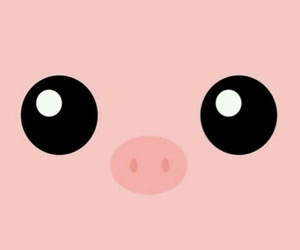 Oink✿