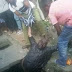 UNIDENTIFIED MAN FOUND DEAD IN DRAINAGE IN WARRI (PHOTOS)