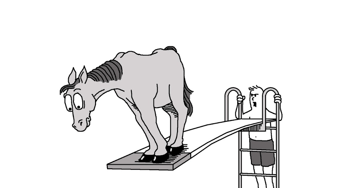 The Squirrel's Nest 207