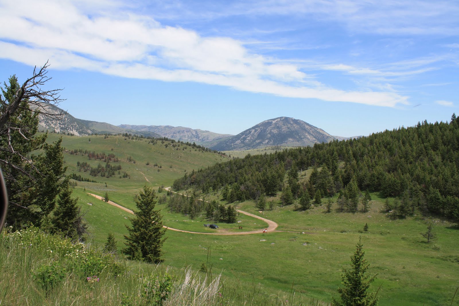 Living and Dyeing Under the Big Sky Picket Pin Road