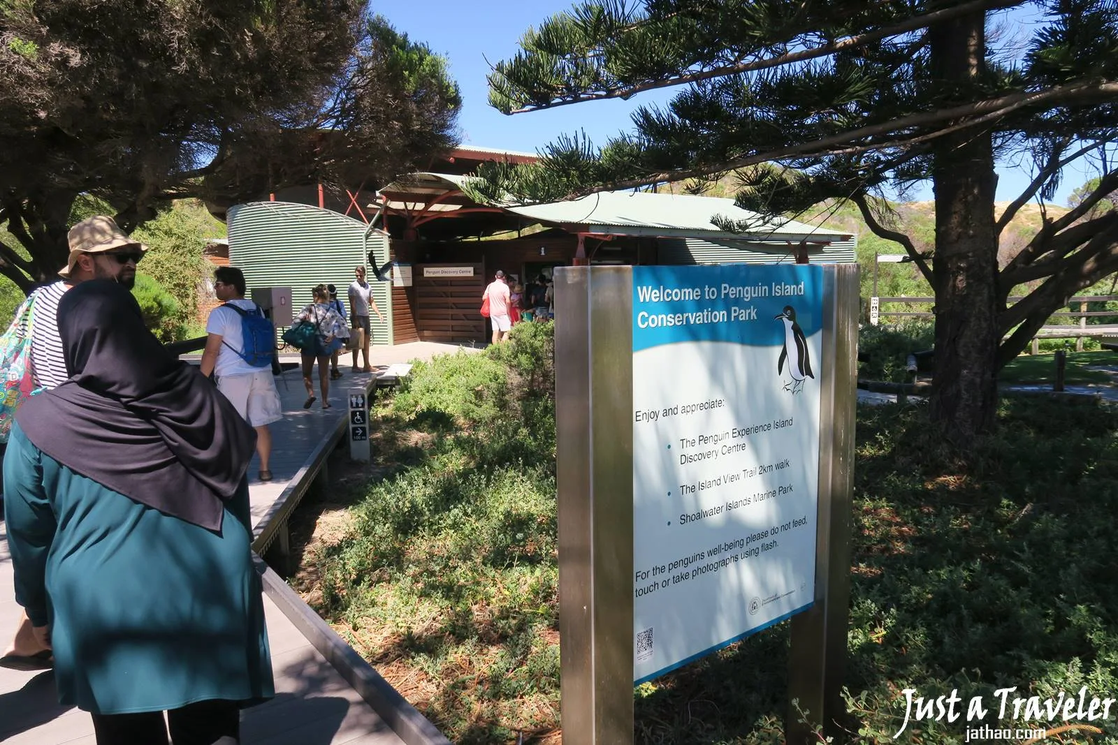 伯斯-景點-推薦-必玩-一日遊-企鵝島-Penguin-Island-遊記-旅遊-自由行-Perth