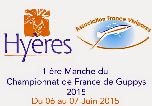 Championnat-de-France-de-Guppys-2015-Hyères