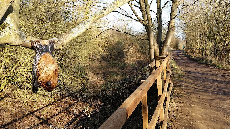 Sculptures and easy walking trails