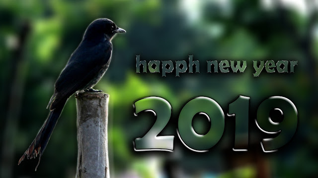 happy new year 2019 images download