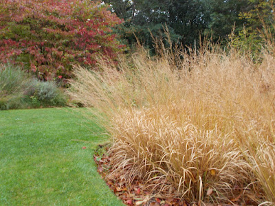 Grasses as border edging Reasons to Grow Ornamental Grasses in Your Garden Green Fingered Blog