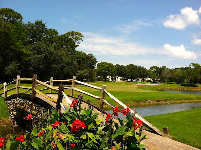 Innisbrook Copperhead