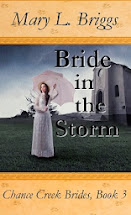 Chance Creek Brides, Book 3