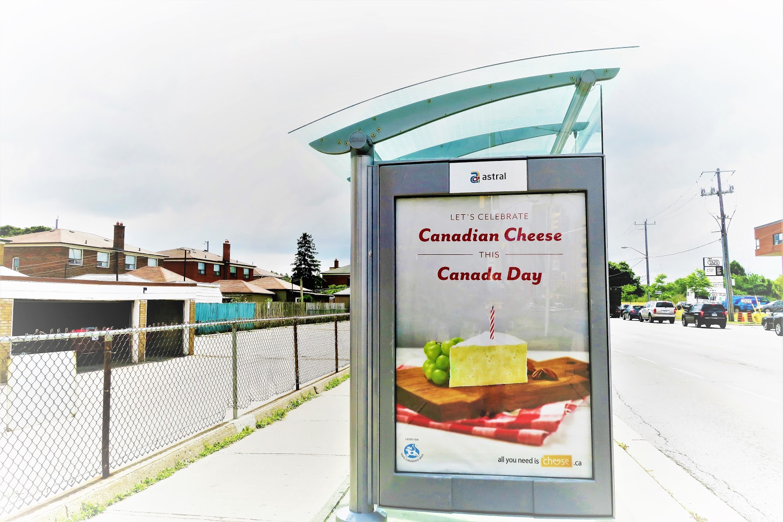 Living Rootless Toronto Cheese