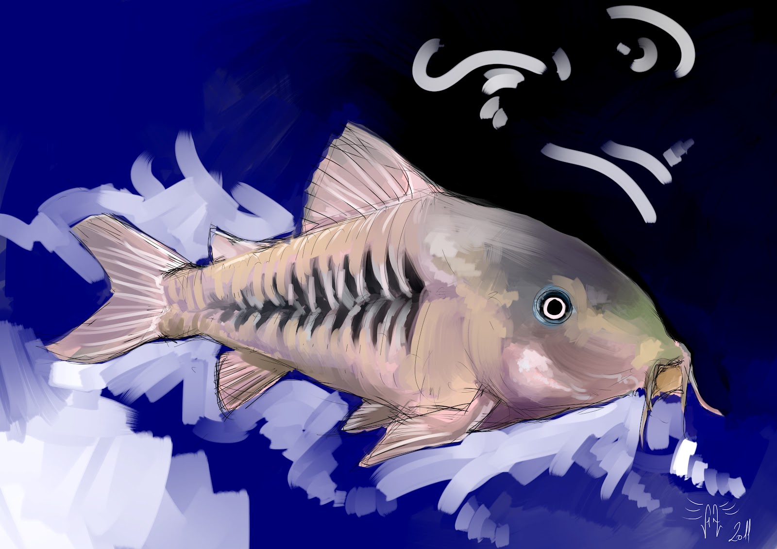 Alfredo Alvarez Ilustrador Serie De Peces De Acuario