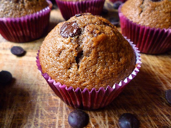 Chocolate Chocolate-Chip Muffins Recipe