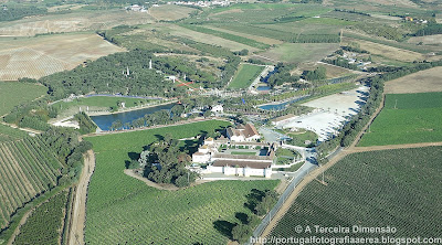 Quinta dos Loridos - Buddha Eden