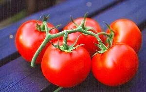 7 Manfaat Tomat Untuk Kesehatan