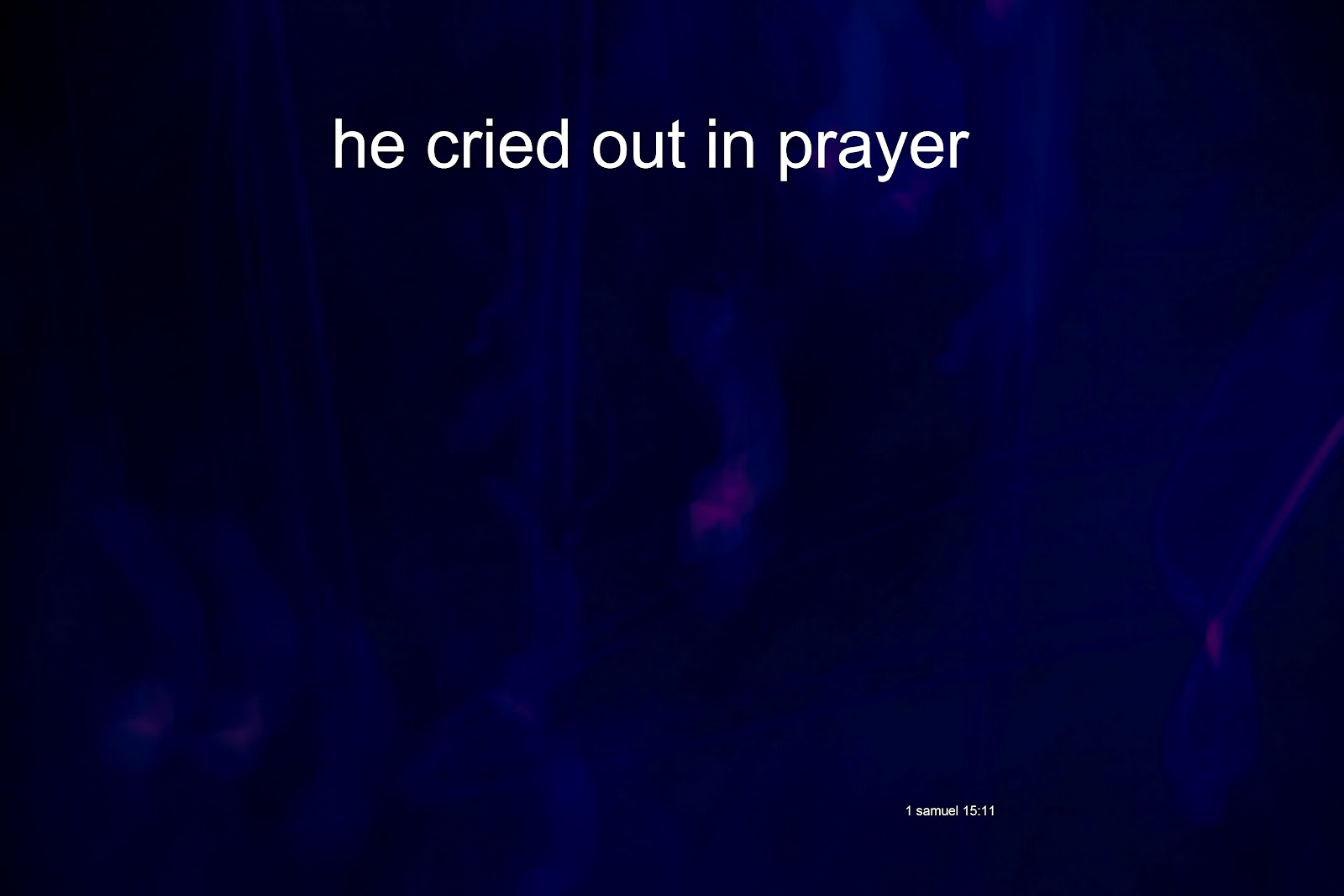 the-gratitude-project-1-samuel-15-17