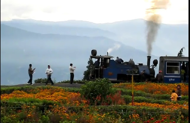 Darjeeling Toy Train in  Batasia Loop