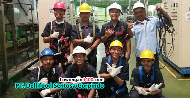 Lowongan Kerja PT. Dellifood Sentosa Corpindo (Mayora Group)