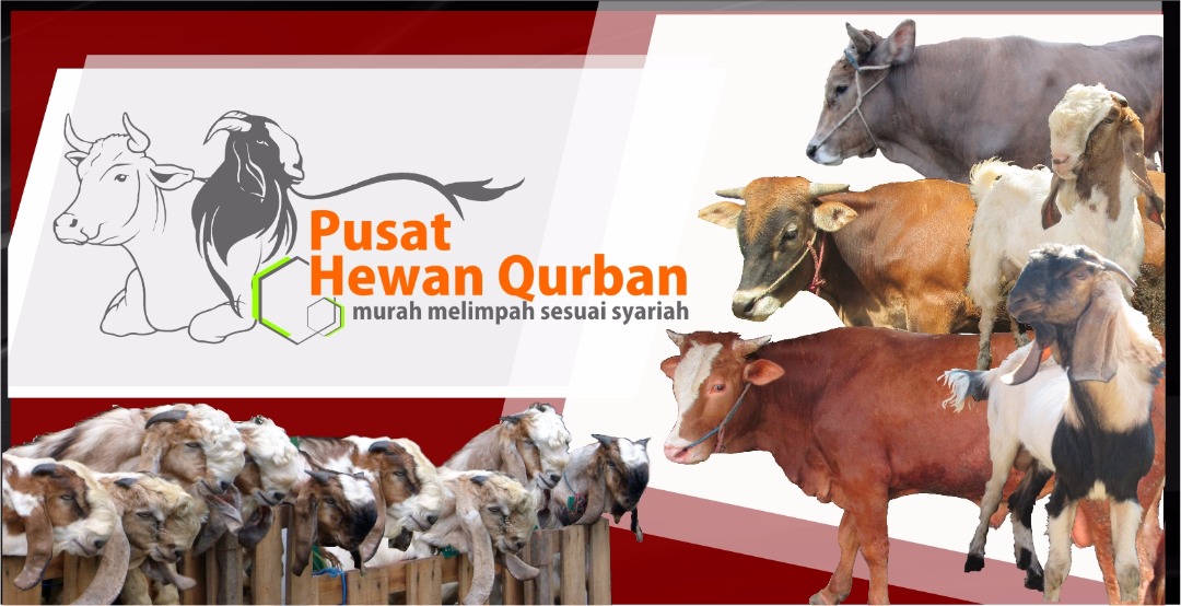 Jual Hewan Kurban Online: Kemudahan dan Tantangan di Era Digital