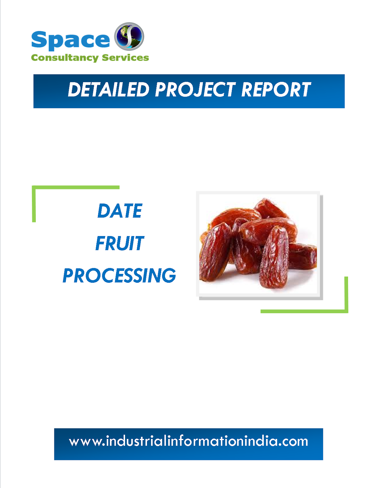 Date Fruit Processing Project Report Space Consultancy Services