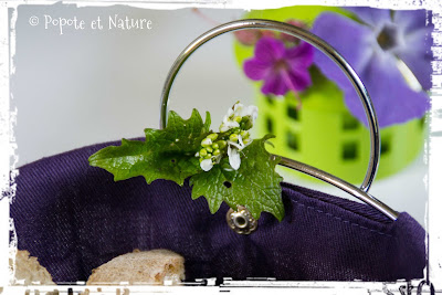Pesto à l'alliaire officinale © Popote et Nature