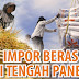Pengamat Uangkap Motif Terselubung Dibalik Impor Beras