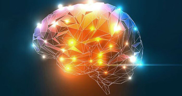 Doğal Serotonin Kaynakları Doğal Serotonin Kaynakları